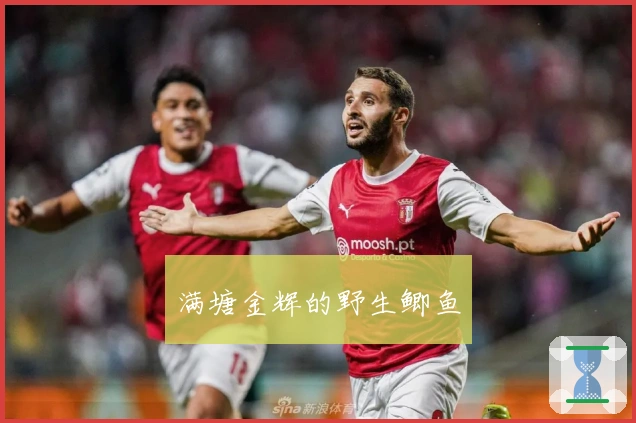 满塘金辉的野生鲫鱼