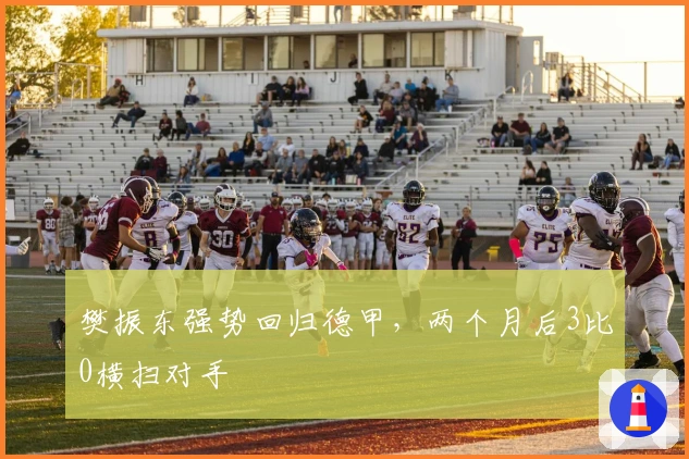 樊振东强势回归德甲，两个月后3比0横扫对手