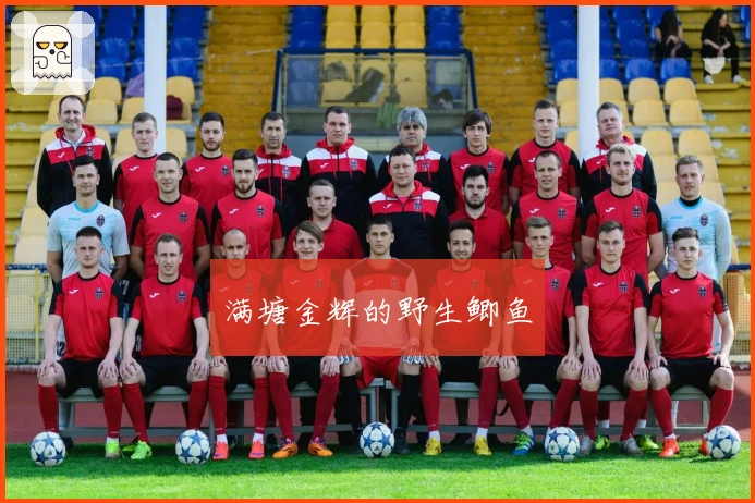 满塘金辉的野生鲫鱼